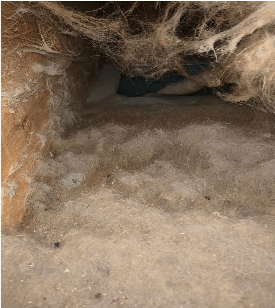 Dirty air duct before cleaning - Denver air duct cleaning