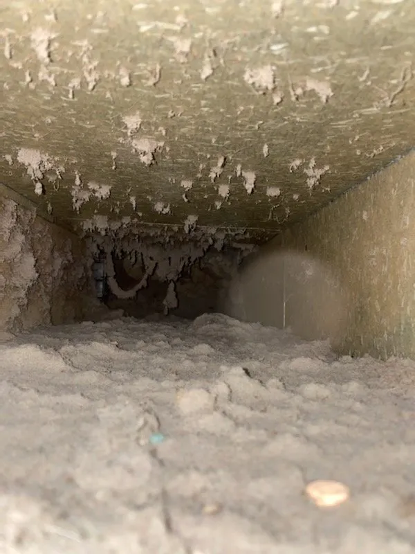 Contaminated HVAC duct before cleaning service